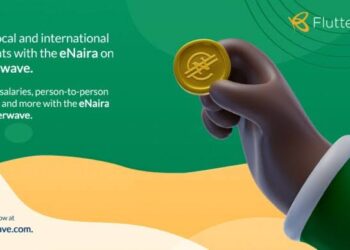 After Receiving Switching and Processing Licence from CBN, Flutterwave includes eNaira to its Payment Options