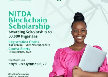 NITDA Partners with Domineum to launch Blockchain Scholarship