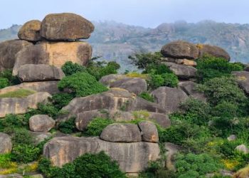 Resurgence of Innovation: The Revamp of Tech Startups in Jos, Plateau State.